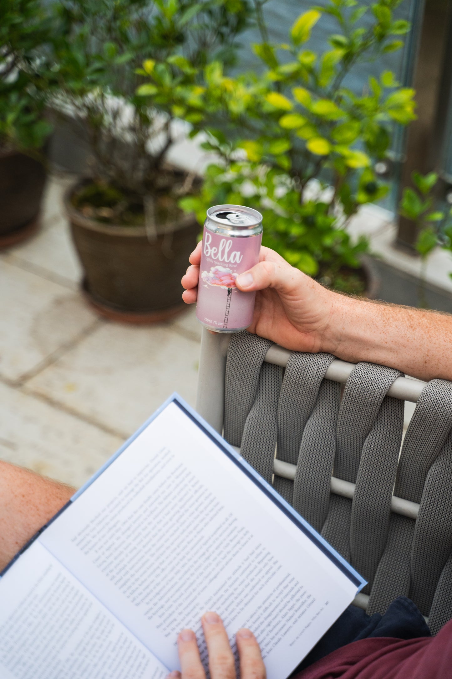 Sparkling Rosé Wine - Isabella